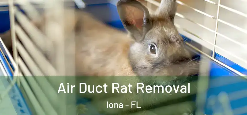  Air Duct Rat Removal Iona - FL