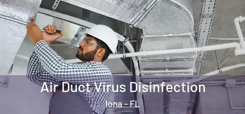  Air Duct Virus Disinfection Iona - FL