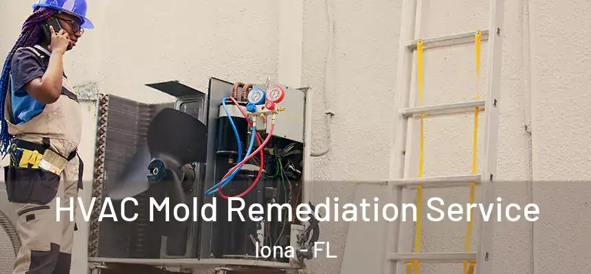 HVAC Mold Remediation Service Iona - FL