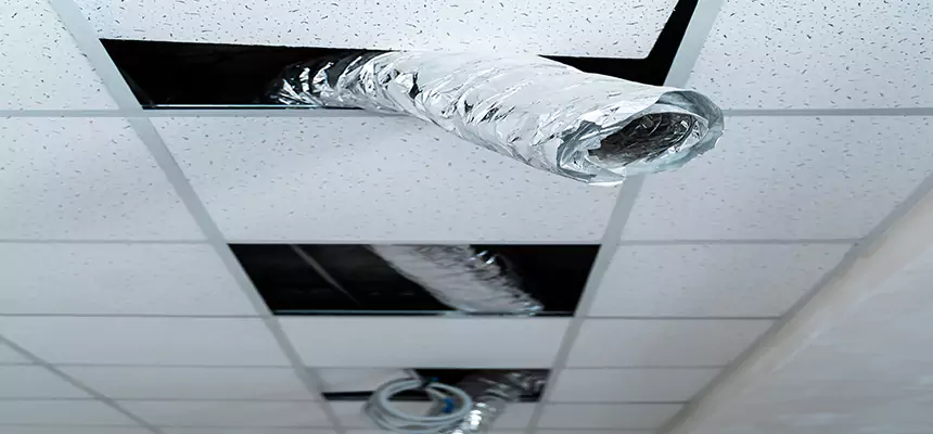 Our Air Duct Pet Hair Removal Services in Iona, FL