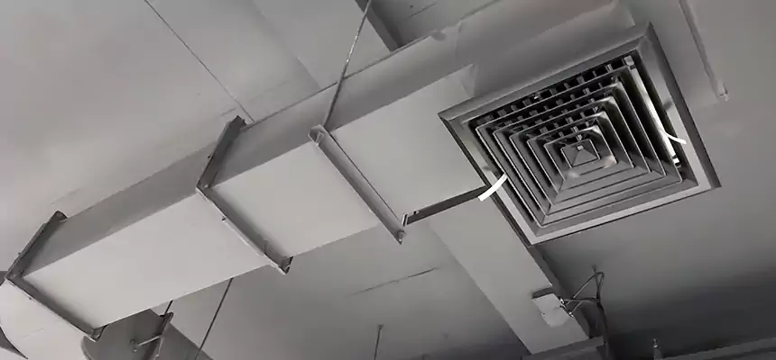 Restorative Allergy Relief Vent Cleaning – Coil, Blower & Housing Detail in Iona