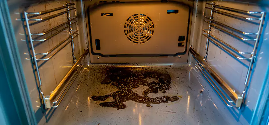 Our Dryer Vent Mold Cleaning Services in Iona, FL