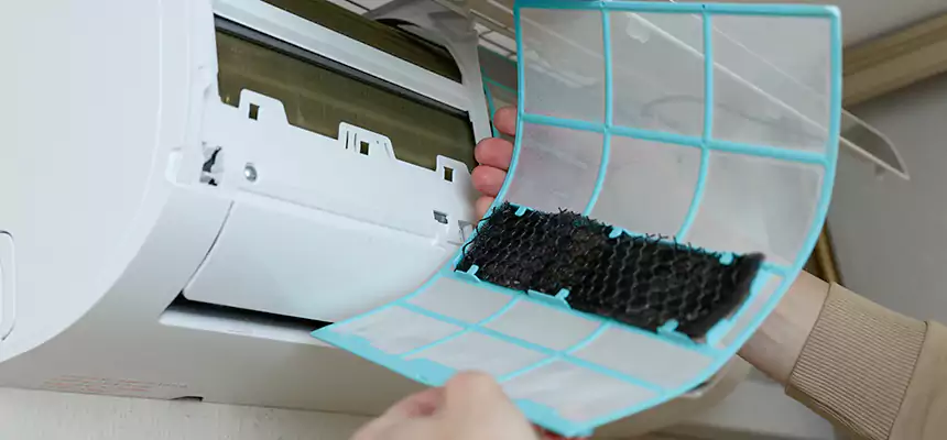 Gentle Ductwork Odor-Control Pet Dander Duct Cleaning in Iona, FL