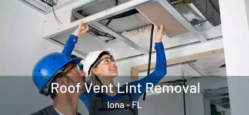  Roof Vent Lint Removal Iona - FL