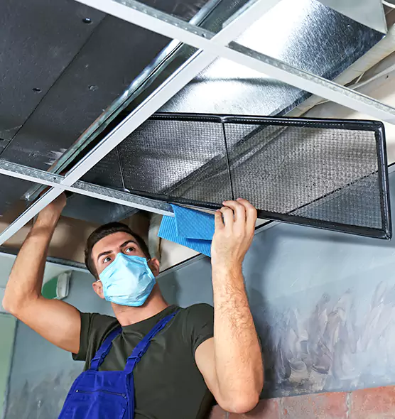 About Air Duct Bacteria Removal in Iona