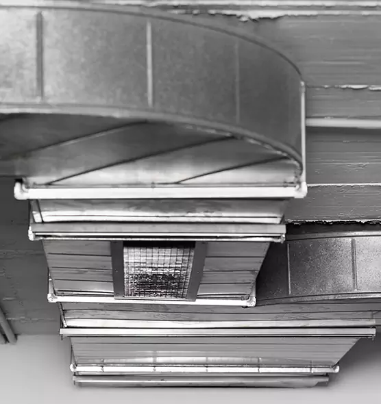 Professional Air Duct Pet Hair Removal in Iona, FL