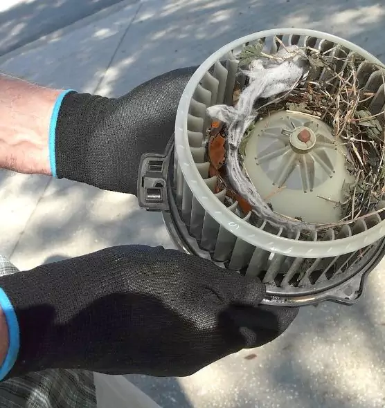 About Air Duct Rat Removal in Iona, FL