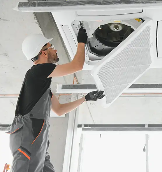 About Air Duct Rodent Removal in Iona, FL