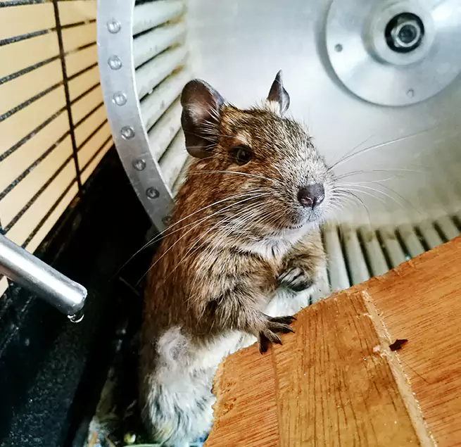 Why Homeowners & Businesses Trust Us Iona, FL