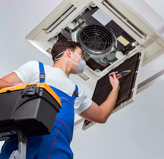 Why Homeowners & Businesses Trust Us in Iona, FL