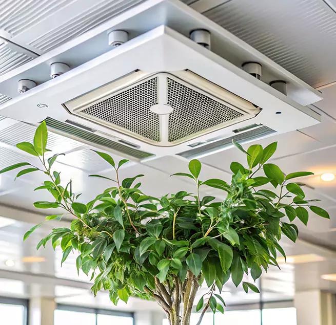 Why Homeowners & Businesses Trust Us in Iona, FL?