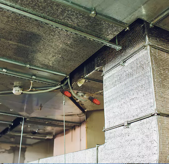 Why Homeowners & Businesses Trust Us Iona, FL?