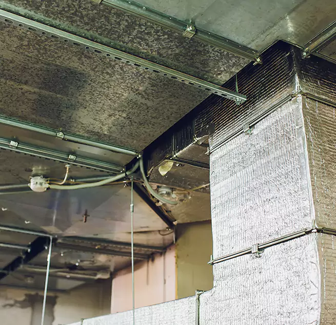 Why Homeowners & Businesses Trust Us in Iona, FL?